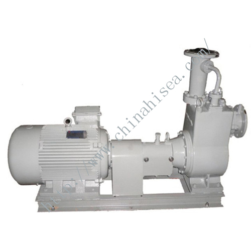 CYZ horizontal oil pump 